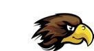 Trail Life Hawk patrol symbol
